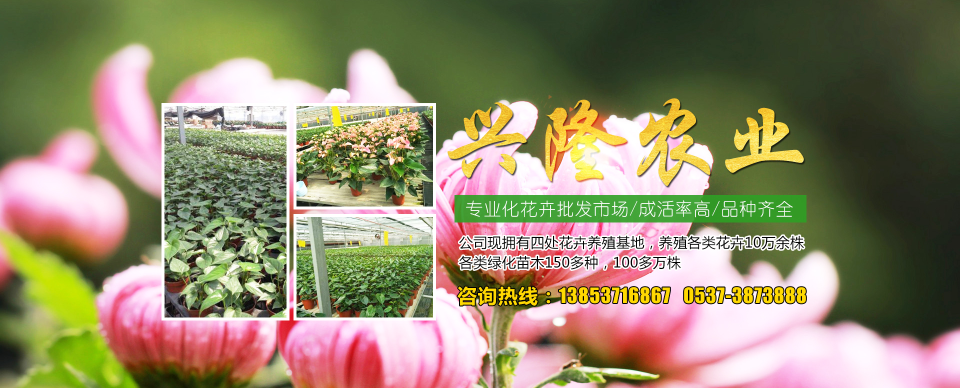 山东中南路桥设备有限公司